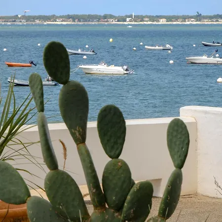 Les Sables - Archik - Bord De L'eau *