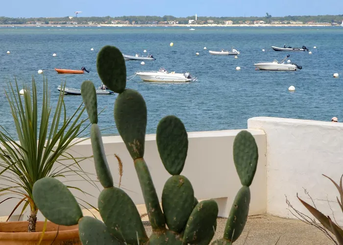 Les Sables - Archik - Bord De L'eau *